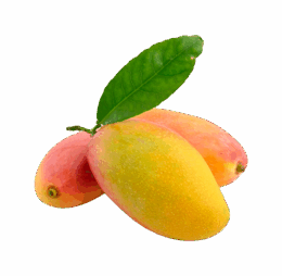 Large Fresh Mango