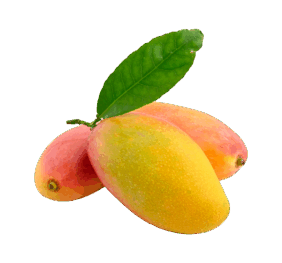 Large Fresh Mango