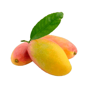 Large Fresh Mango