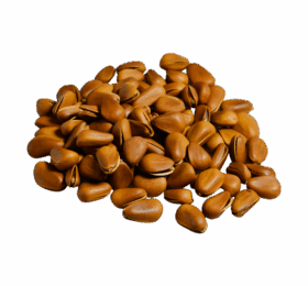 Brown Nuts