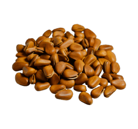 Brown Nuts