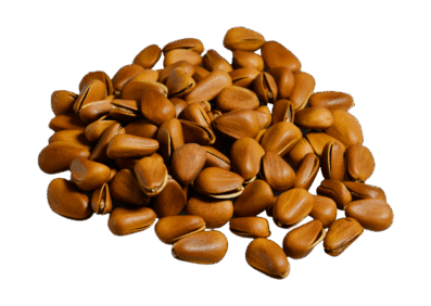 Brown Nuts