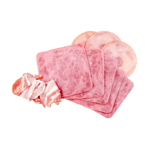 Bacon Square Meat