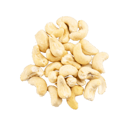 Cashew Nuts
