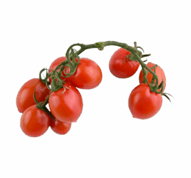 Red Cherry Tomato
