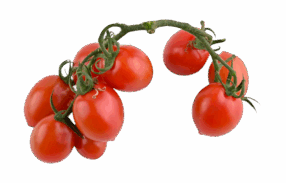 Red Cherry Tomato