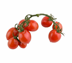 Red Cherry Tomato