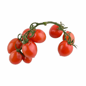 Red Cherry Tomato