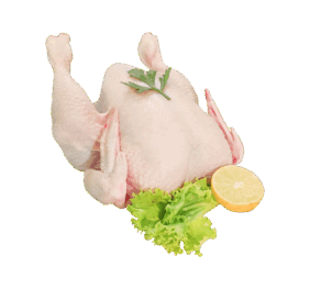 Fresh Full Chicken