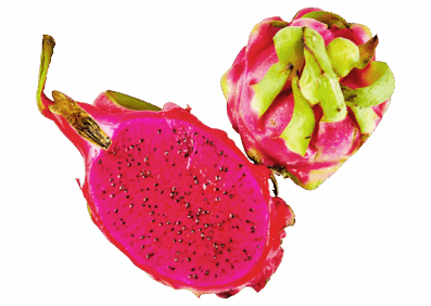 Red Dragon Fruit