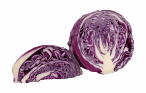 Sliced Purple Cabbage