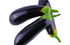Black Vegan Brinjal