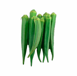 Green Lady Finger