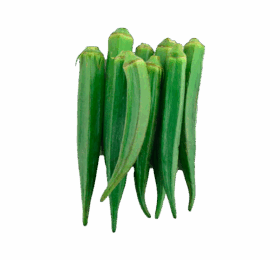 Green Lady Finger