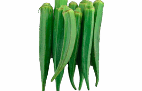 Green Lady Finger