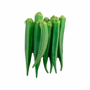 Green Lady Finger