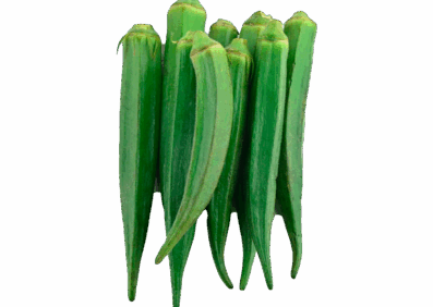 Green Lady Finger