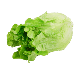 Green Ve Cabbage