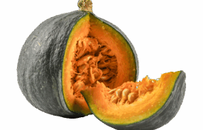 Big Delicious Pumpkin