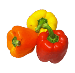 Mixed Vegan Capsicum