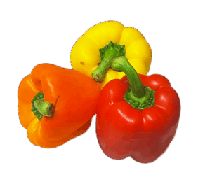 Mixed Vegan Capsicum