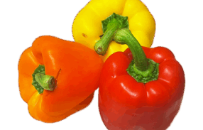 Mixed Vegan Capsicum