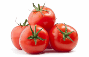 Vegan Fresh Tomato