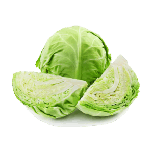 Fresh Greeny Cabbage