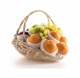 Vege Fruit Bucket