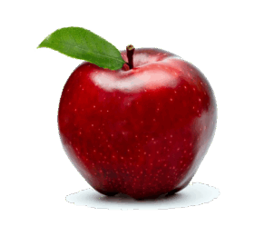 Red Fresh Apple