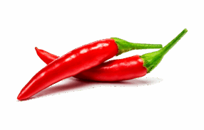Hot Chili Peper