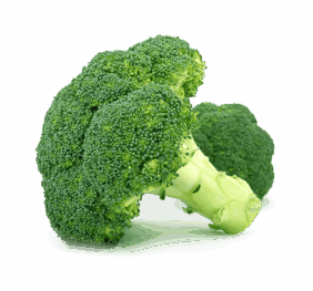 Calabres Broccoli