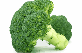 Calabres Broccoli