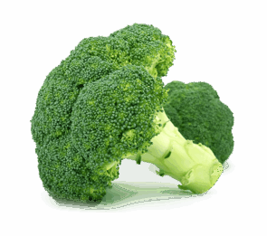 Calabres Broccoli
