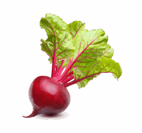 Vegan Fresh Radish