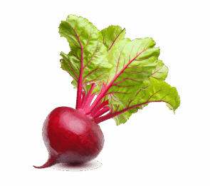 Vegan Fresh Radish