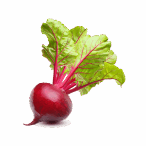 Vegan Fresh Radish